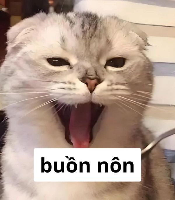 meme oẹ (20) meme oẹ (20)