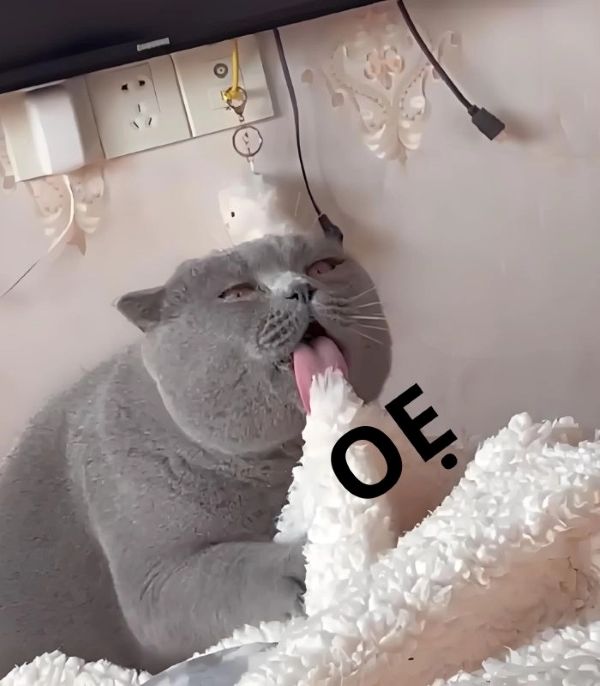 meme oẹ (6) meme oẹ (6)