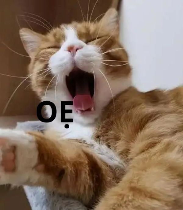 meme oẹ (7) meme oẹ (7)