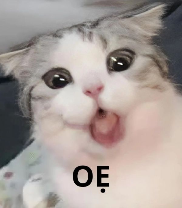 meme oẹ (9) meme oẹ (9)
