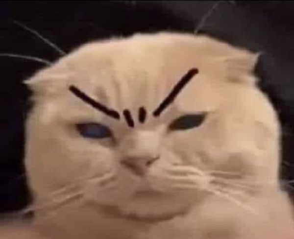 meme phán xét (19)