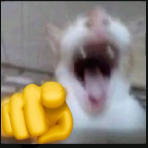 meme phán xét (20)