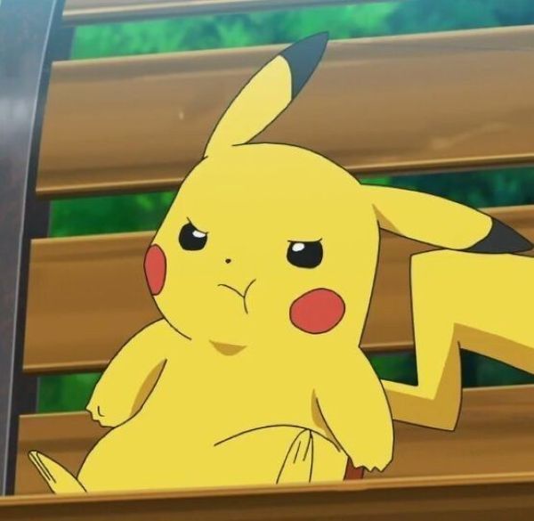 meme pikachu (12)