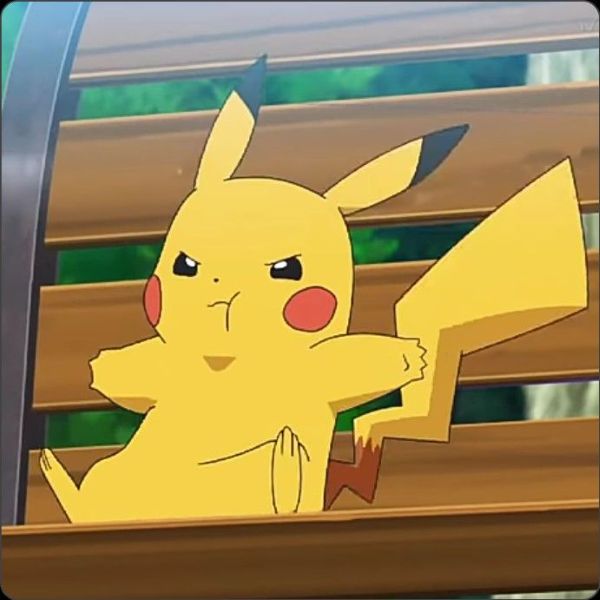 meme pikachu (17)