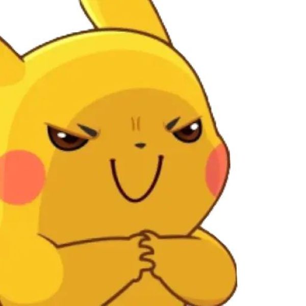 meme pikachu (19)