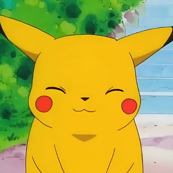 meme pikachu (24)