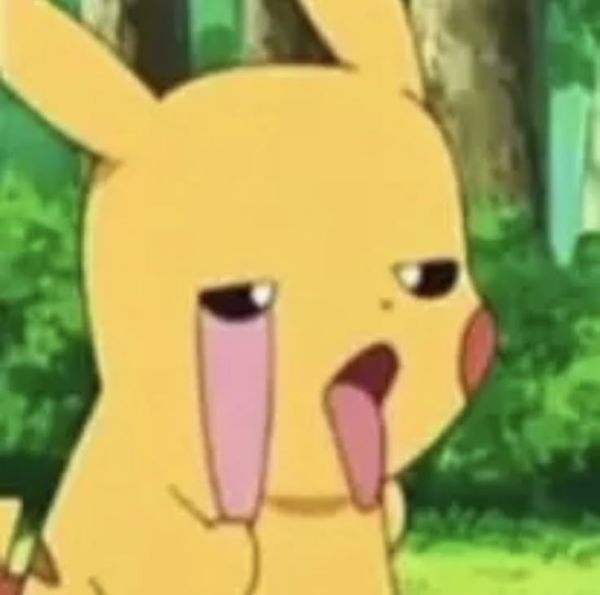 meme pikachu (3)