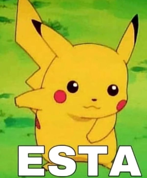 meme pikachu (7)