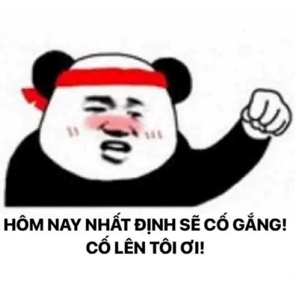 meme quyết tâm (11) meme quyết tâm (11)