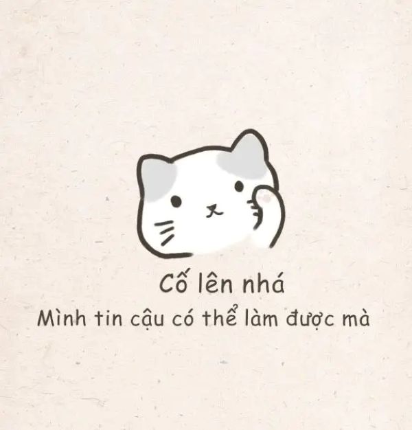 meme quyết tâm (17) meme quyết tâm (17)