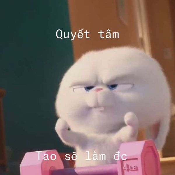 meme quyết tâm (7) meme quyết tâm (7)