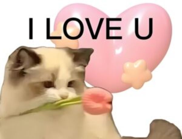 meme tình yêu (16)