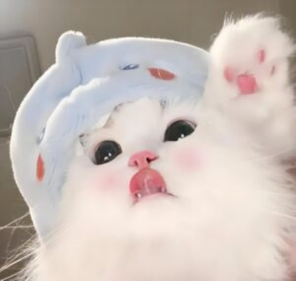 meme tình yêu (22)