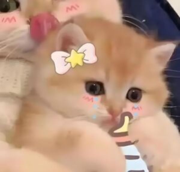 meme tình yêu (23)