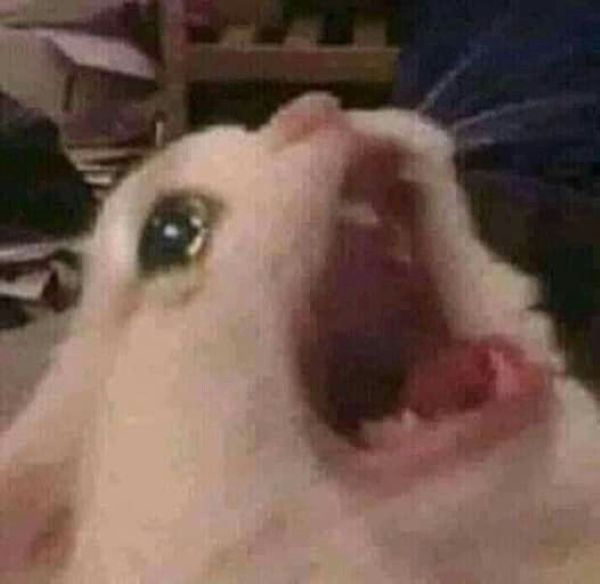 meme trầm cảm (1)