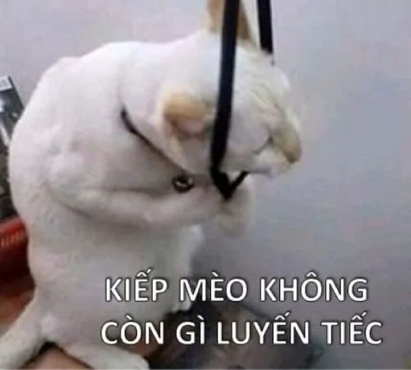 meme trầm cảm (10)