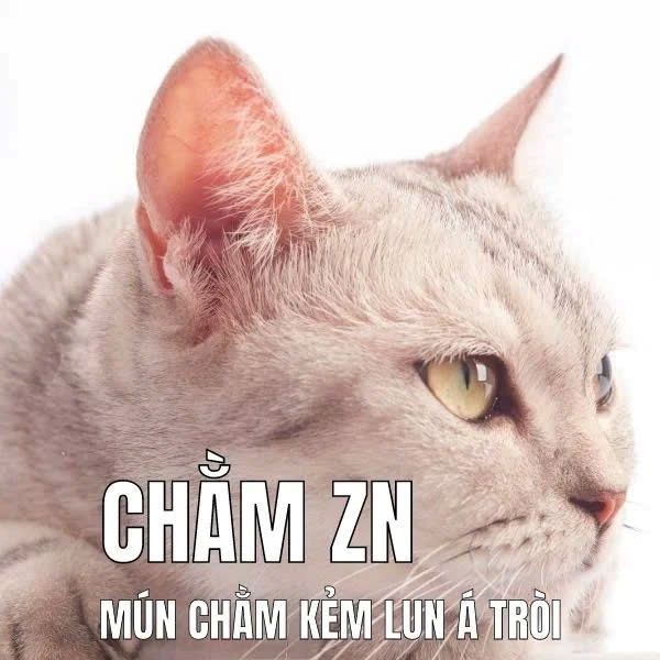 meme trầm cảm (13)