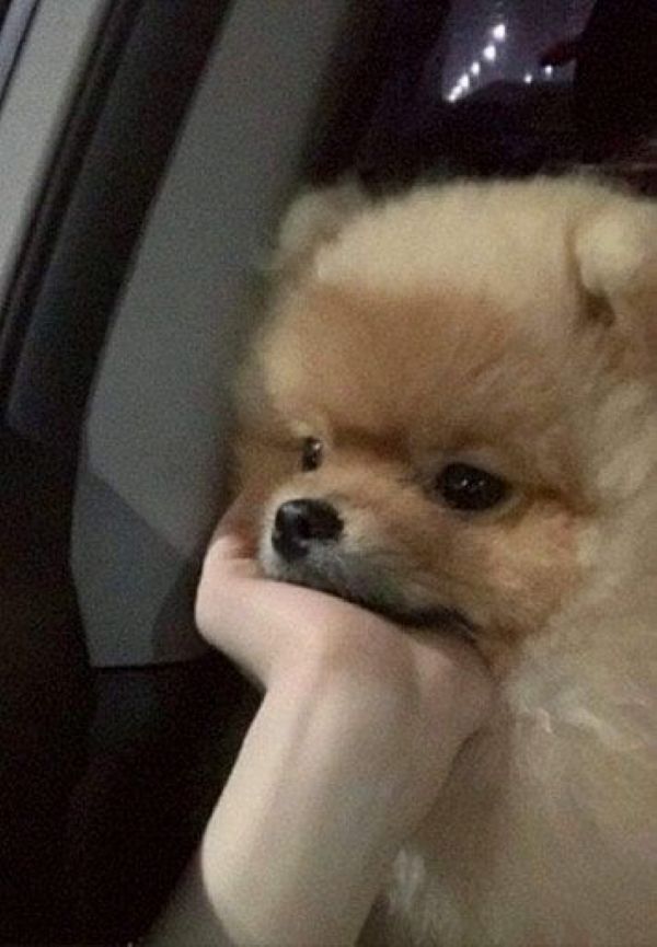 meme trầm cảm (17)