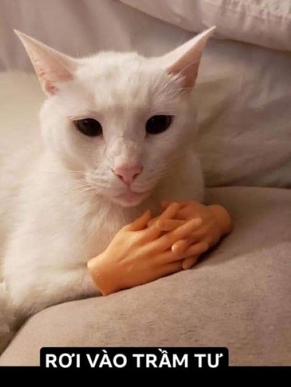 meme trầm cảm (21)