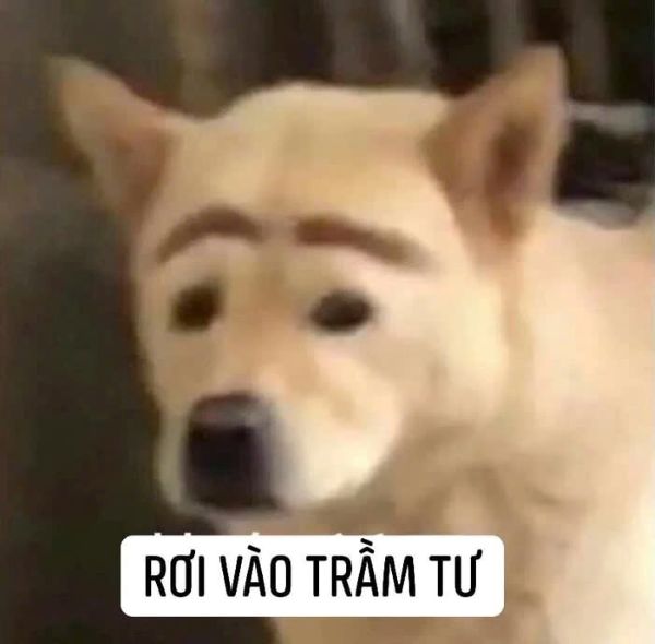 meme trầm cảm (5)