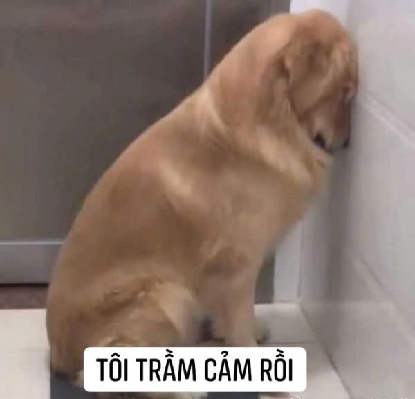meme trầm cảm (8)