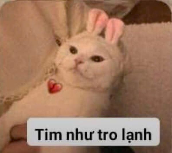 meme trầm cảm (9)