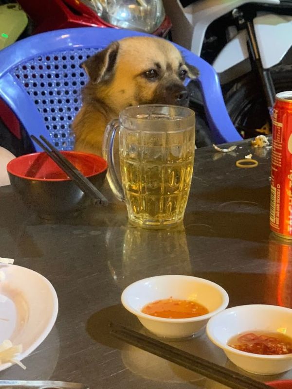 meme uống rượu (24)