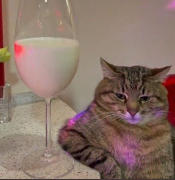 meme uống rượu (8)