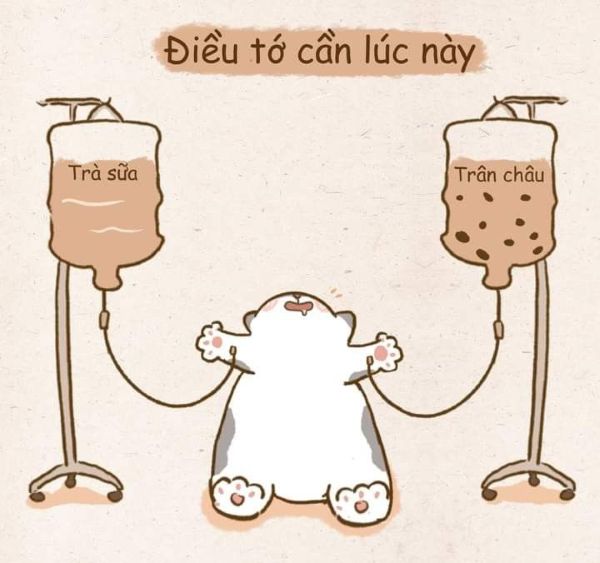 meme uống trà sữa (3) meme uống trà sữa (3)