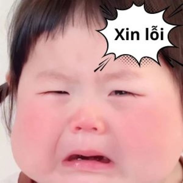 meme xin lỗi (10)