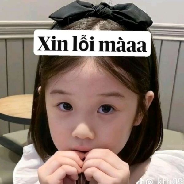 meme xin lỗi (15)