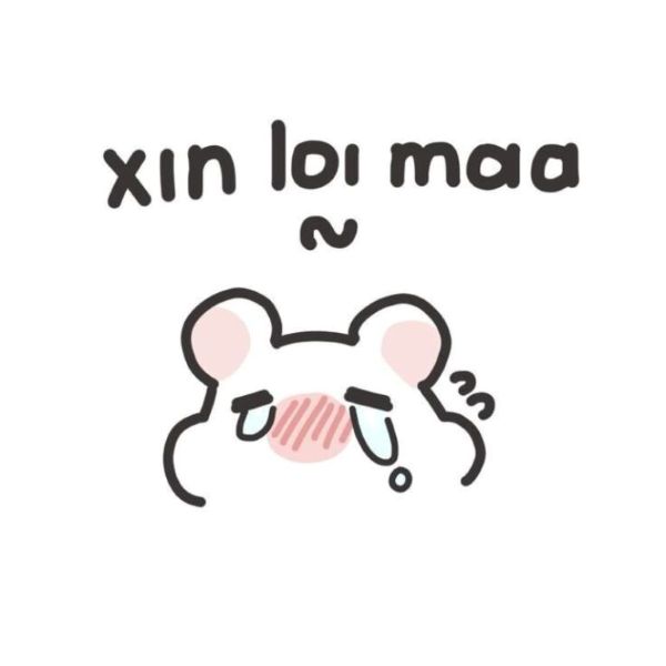 meme xin lỗi (19)