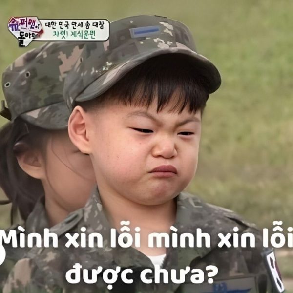 meme xin lỗi (2)