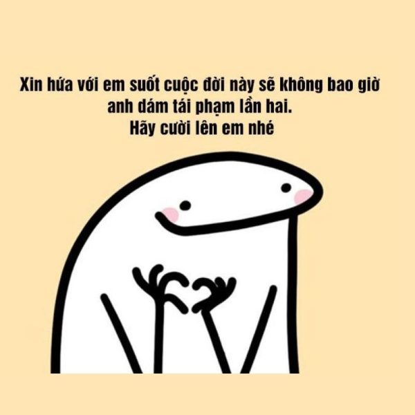 meme xin lỗi (30)