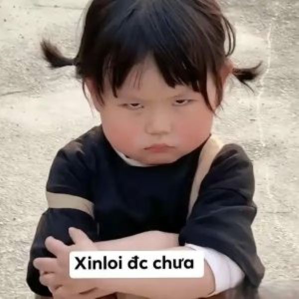 meme xin lỗi (4)