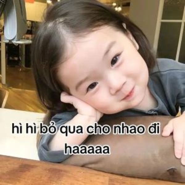 meme xin lỗi (5)