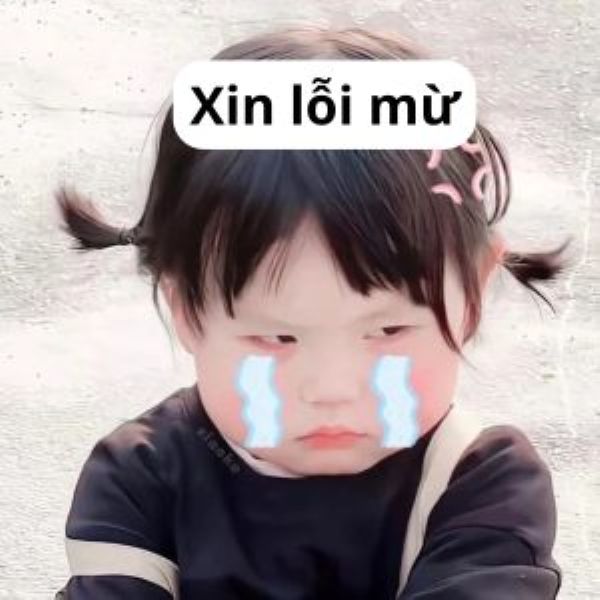 meme xin lỗi (6)