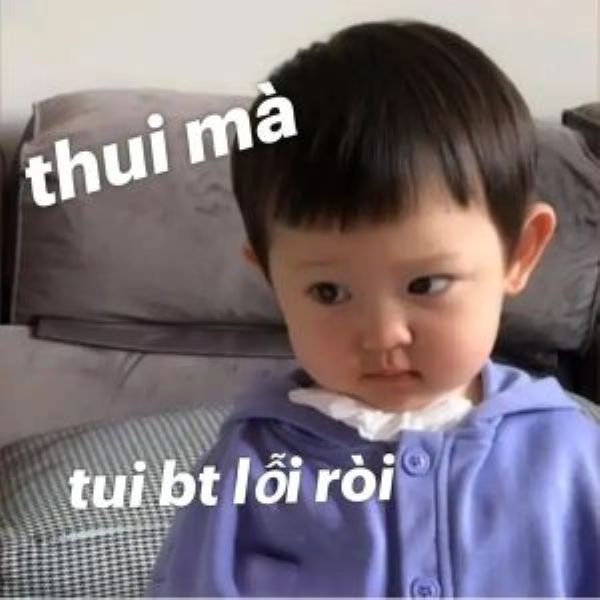 meme xin lỗi (7)