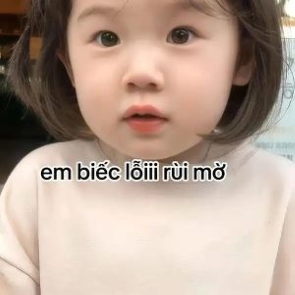 meme xin lỗi (8)