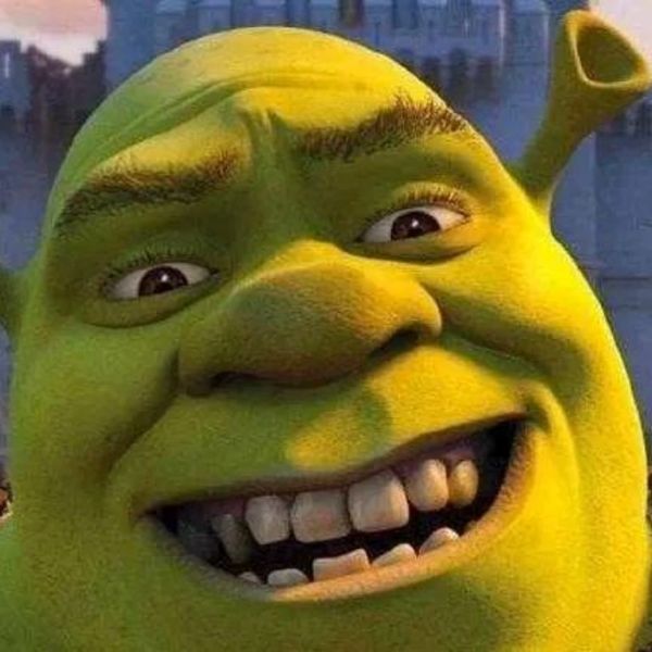shrek meme (1)