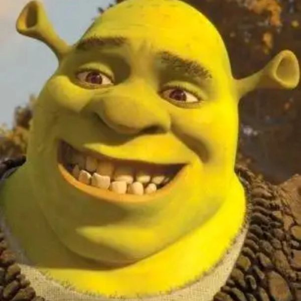 shrek meme (10)