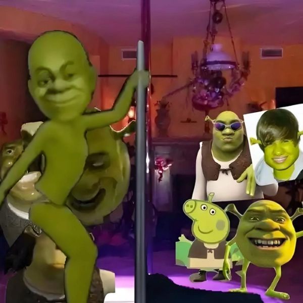 shrek meme (11)