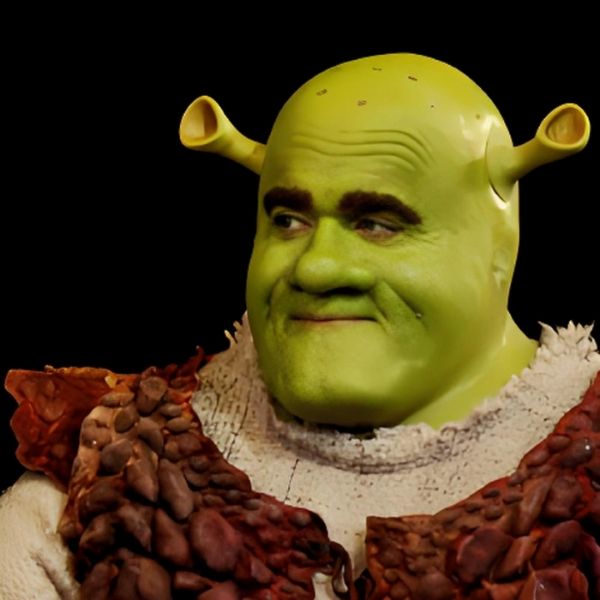 shrek meme (12)