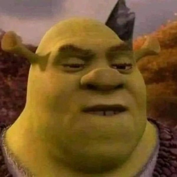 shrek meme (13)