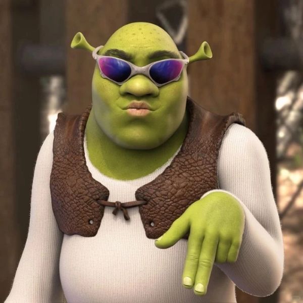 shrek meme (14)