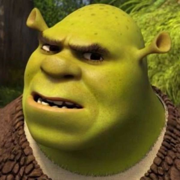 shrek meme (15)