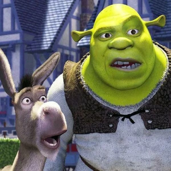 shrek meme (16)