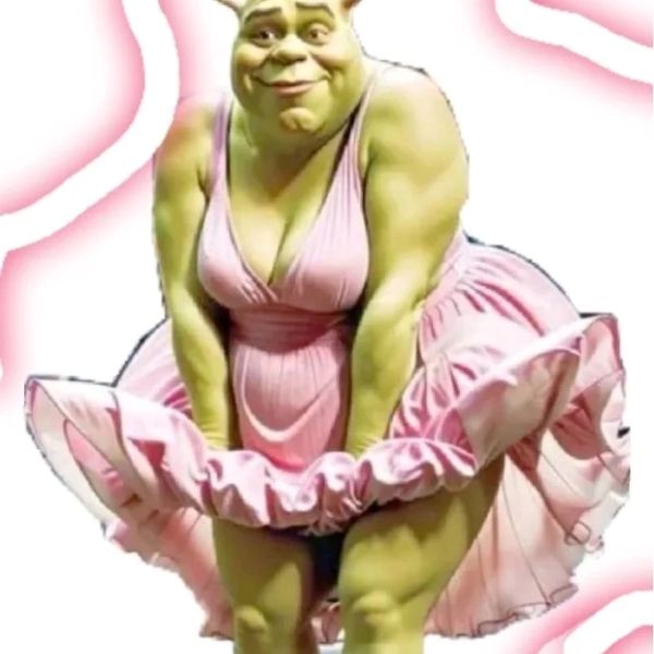 shrek meme (17)