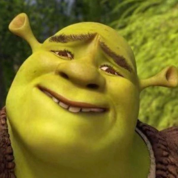 shrek meme (18)