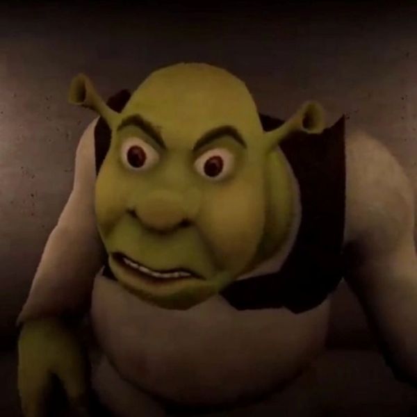 shrek meme (19)